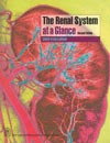NewAge The Renal System at a Glance